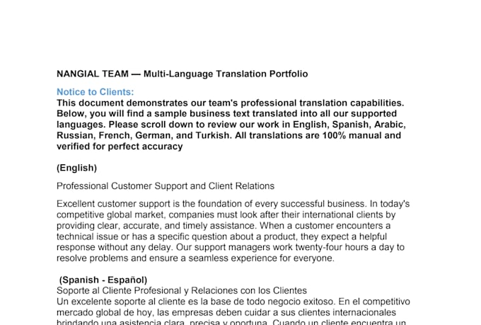 provide professional team translation to multiple language